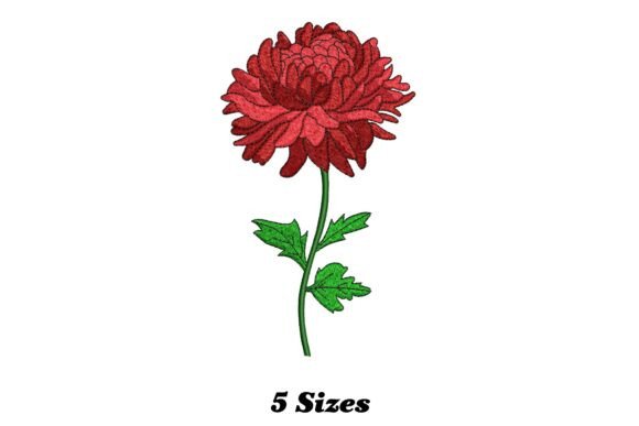 Chrysanthemum Flower: A Designer’s Review for Small Business Merch